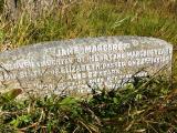 image of grave number 446297